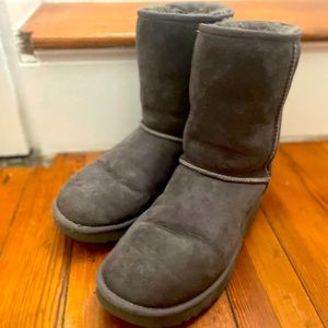Uggs - Classic Short boots in grey